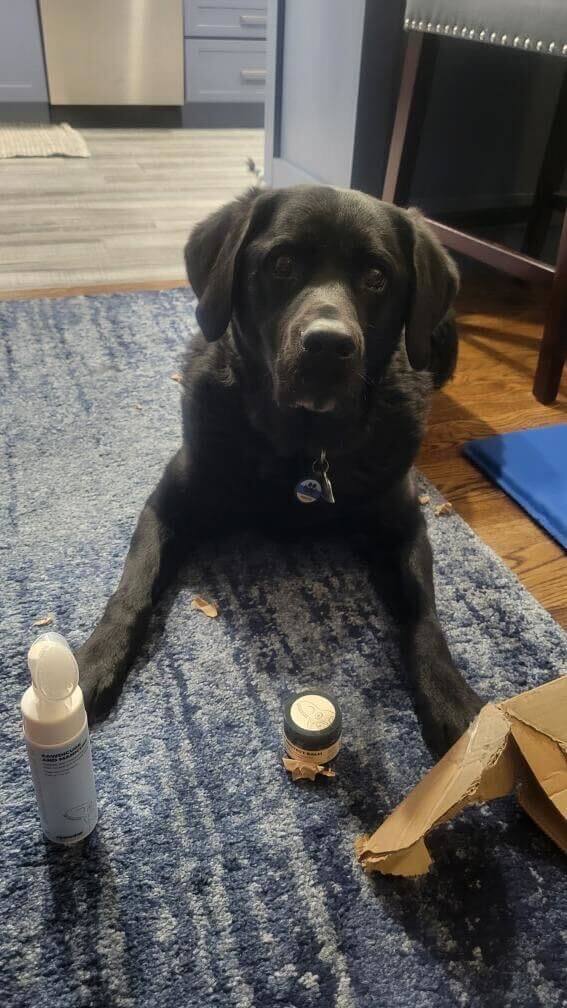 Paw Protect Balm