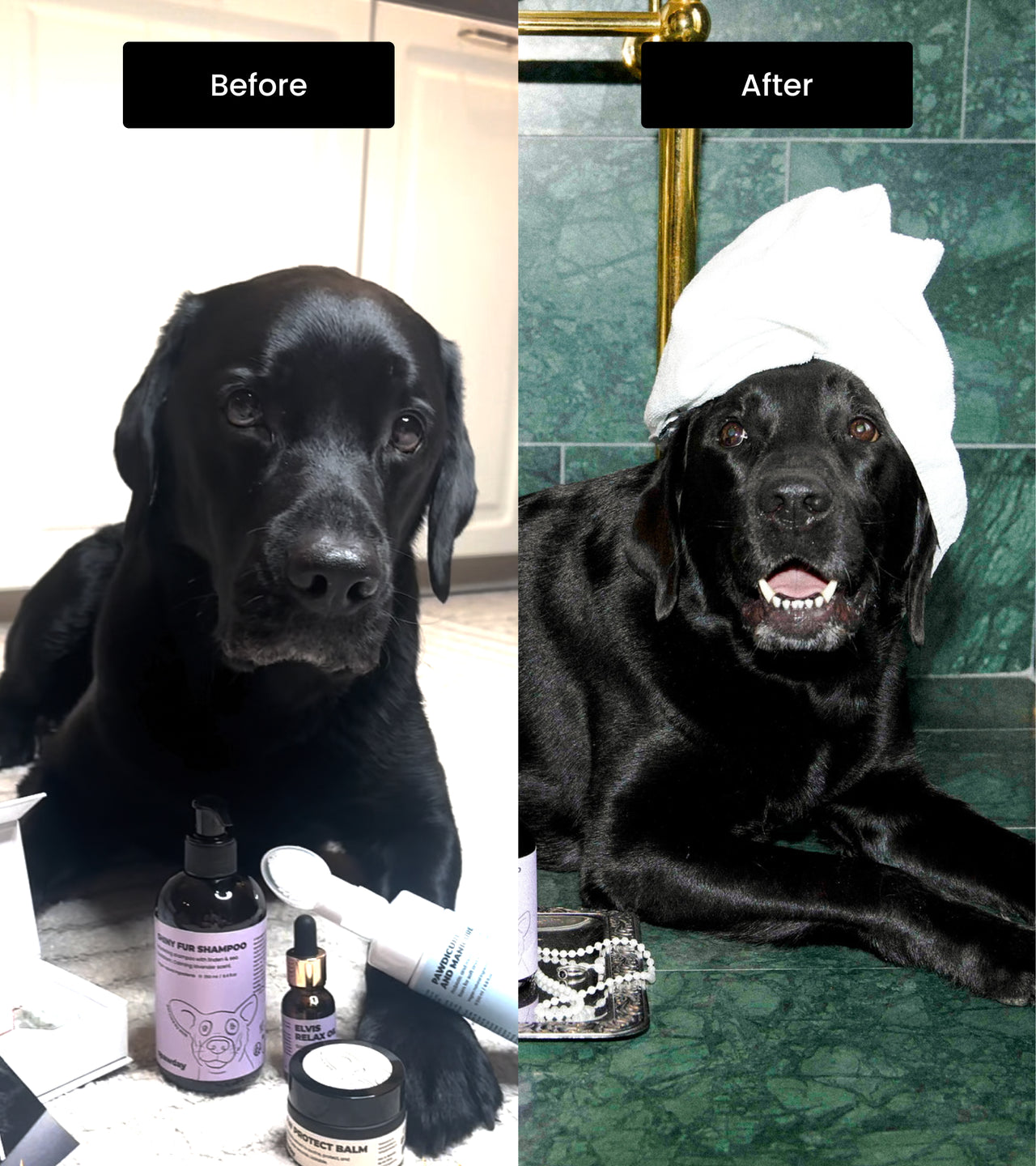 Shiny Fur Shampoo