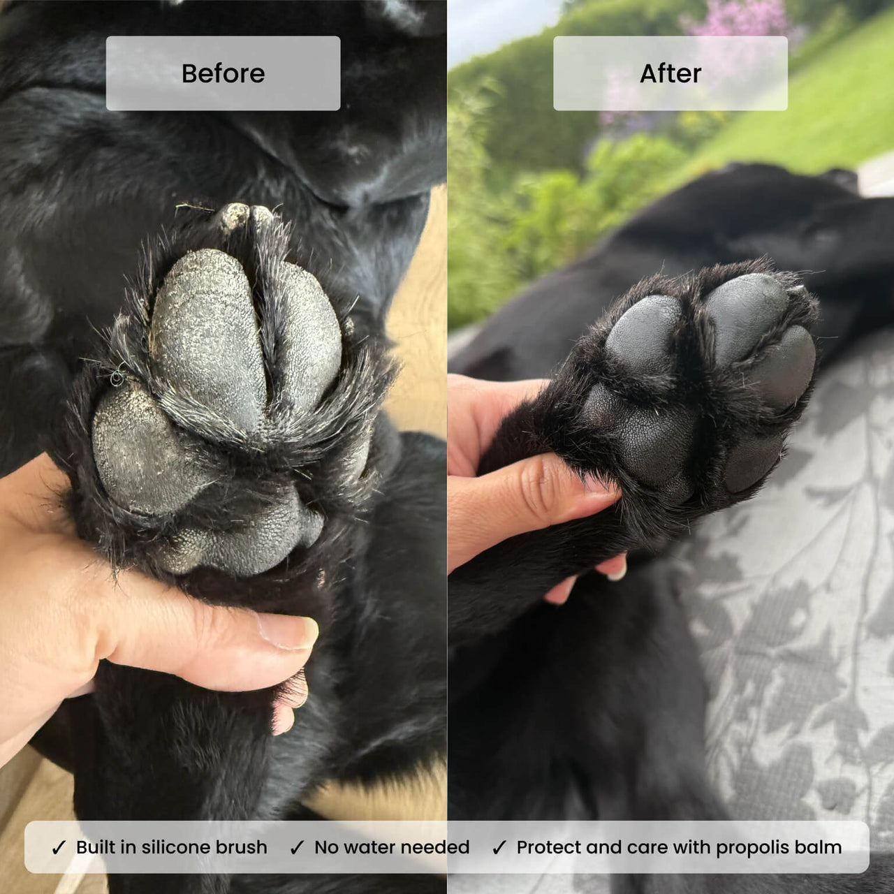 Weekly Routine - Wash and Care Kit