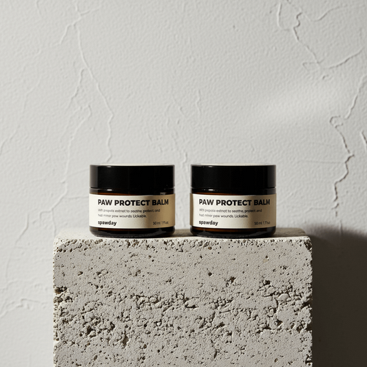 Two jars of paw protect balm on a concrete block with a gray background