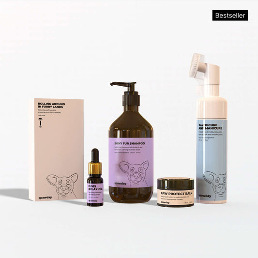 Elvis Spaw Kit - The Complete Dog Care Ritual