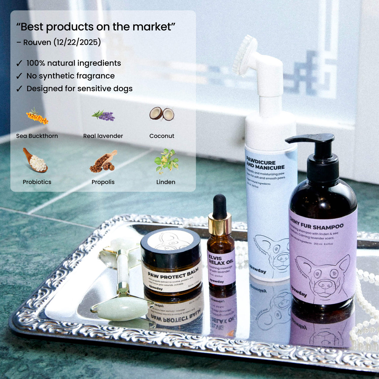 Elvis Spaw Kit - The Complete Dog Care Ritual