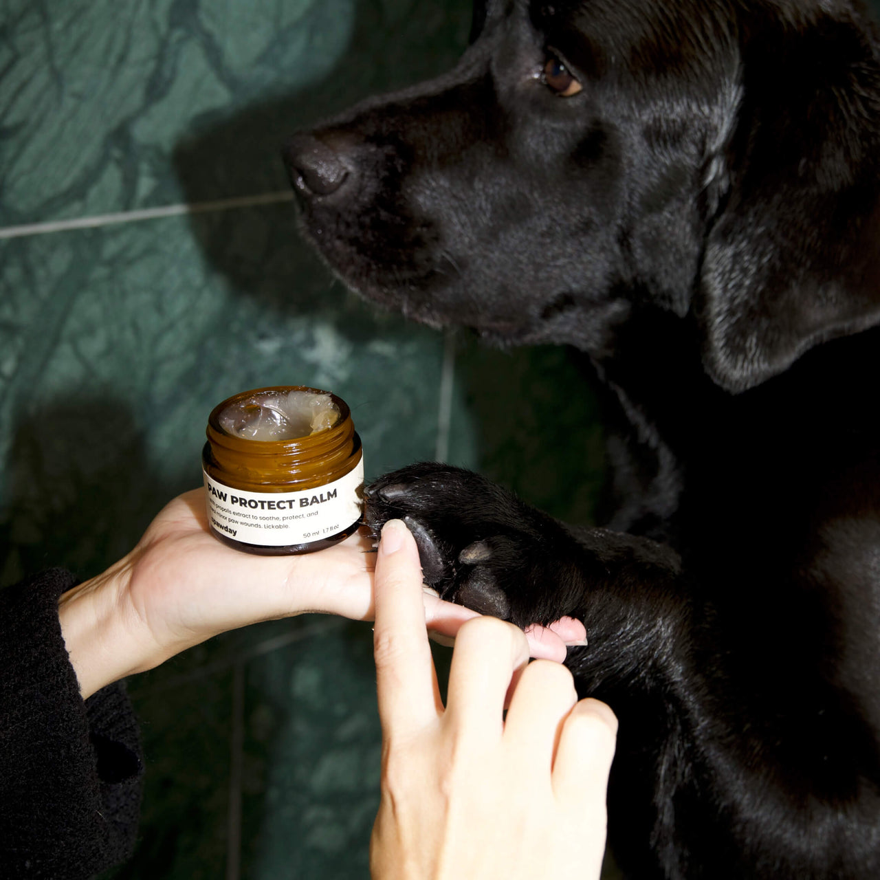 Pawdicure Set